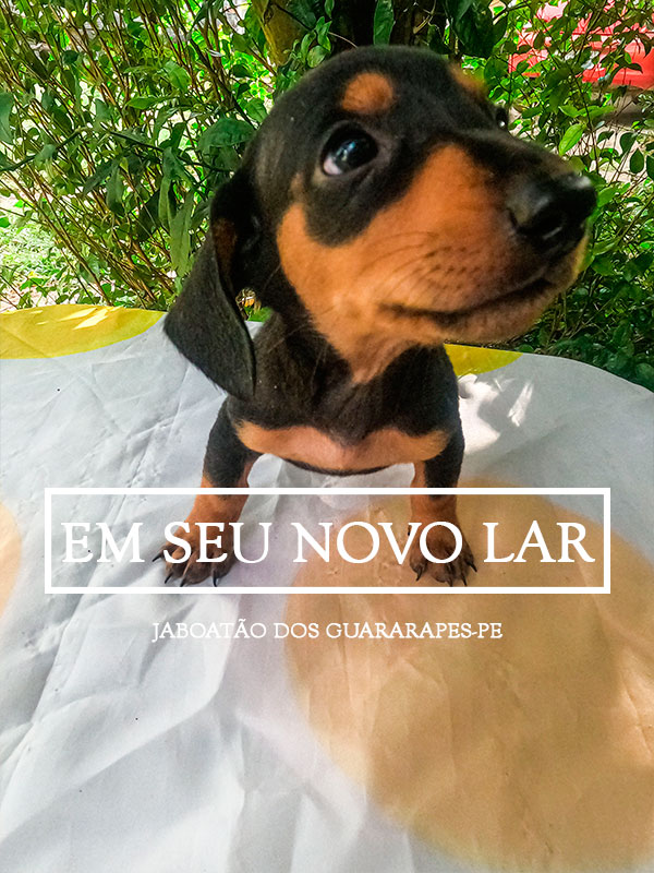 SITE-AZEITE-VENDIDO-001